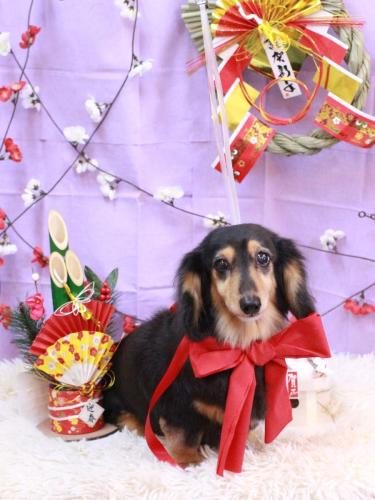 20230110クロスちゃん